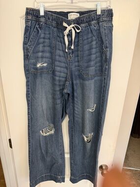 Lane Bryant Distressed Drawstring Denim wide leg Medium Blue